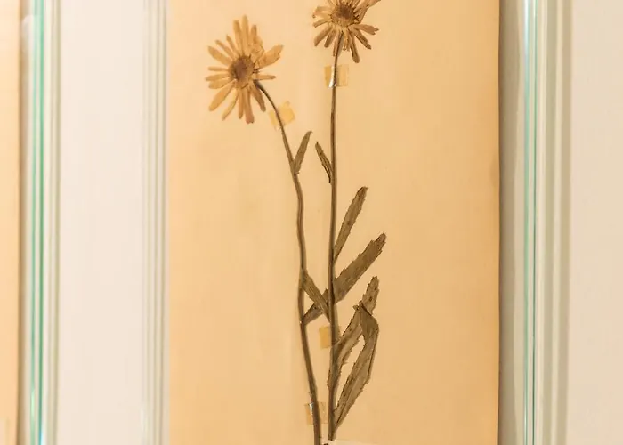 Sophia Boutique Ξενοδοχείο με διαμερίσματα 4*